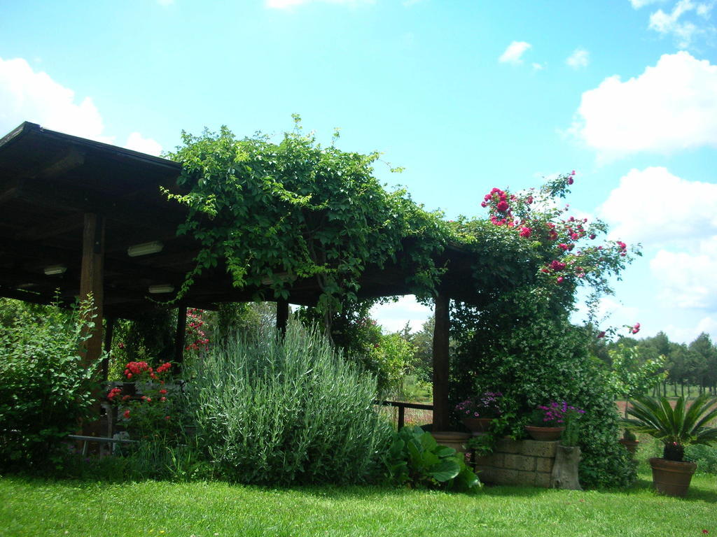 Podere Le Chiuse Sovana Exterior photo